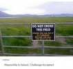 10c53db7645f856f16500d16676a79aa--challenge-accepted-the-challenge.jpg