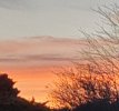 20220112_080647.jpg