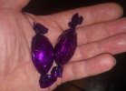 IMG_20220123_093158.jpg