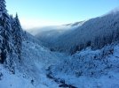21.01.22Ca.jpg