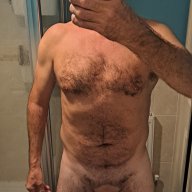 bear693