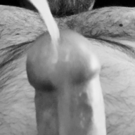Bobfoc79