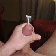 MorningGlory20