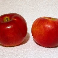 apples150