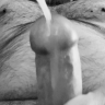 Bobfoc79