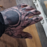 Rebel2598