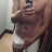 KinkySteve