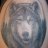 Tigerwolf